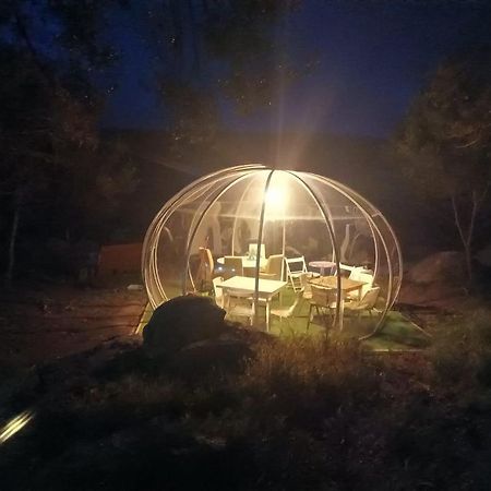 Eucaliptus Farm Retreat Pensionat Santa Teresa Gallura Exteriör bild