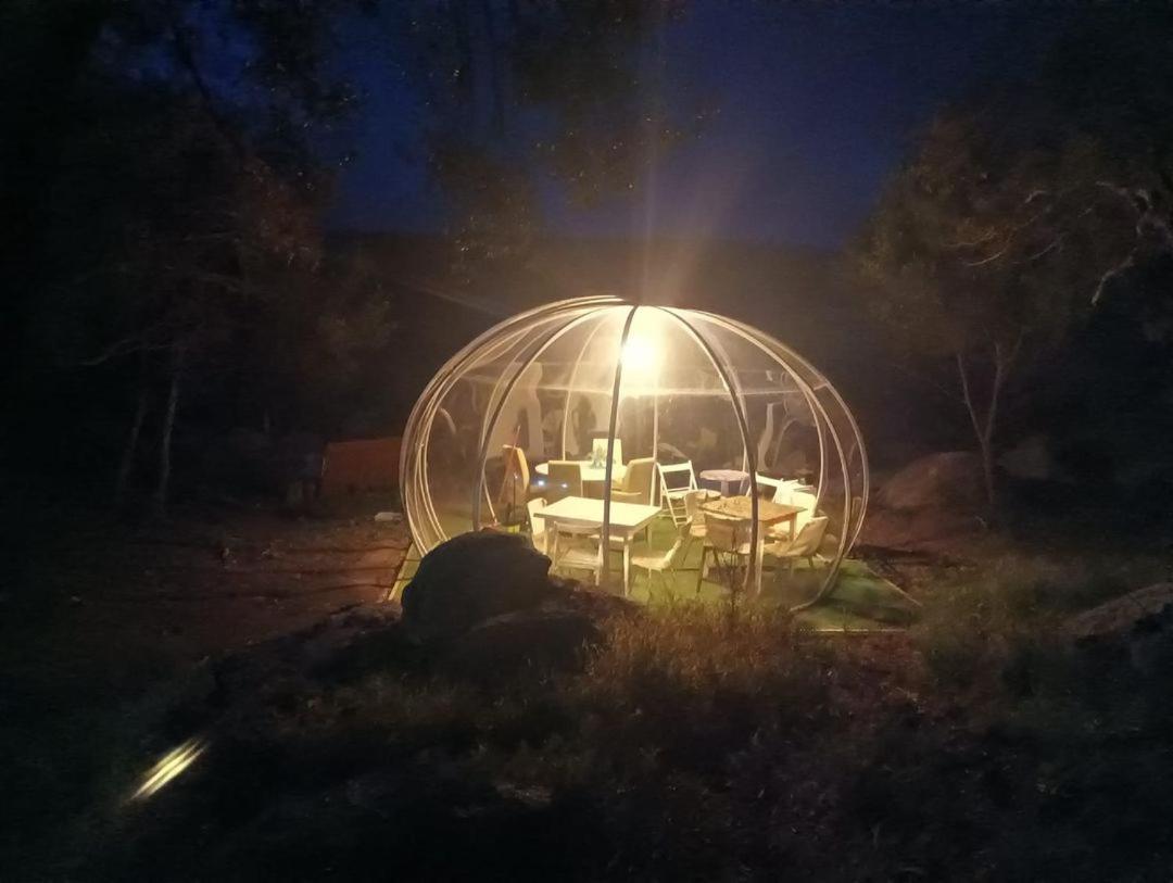 Eucaliptus Farm Retreat Pensionat Santa Teresa Gallura Exteriör bild