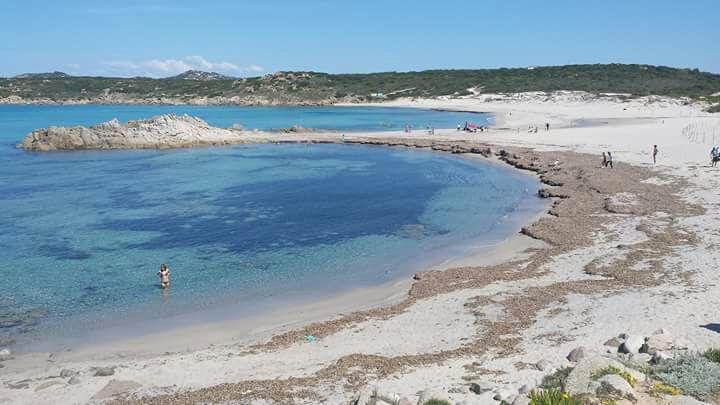 Eucaliptus Farm Retreat Pensionat Santa Teresa Gallura Exteriör bild