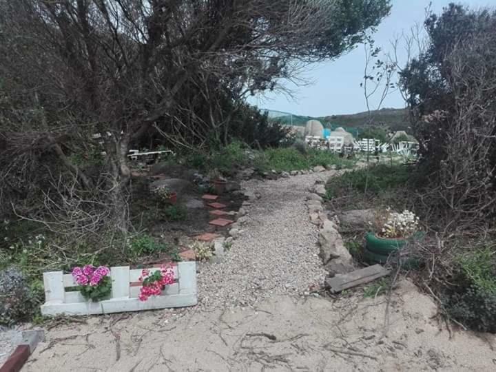 Eucaliptus Farm Retreat Pensionat Santa Teresa Gallura Exteriör bild