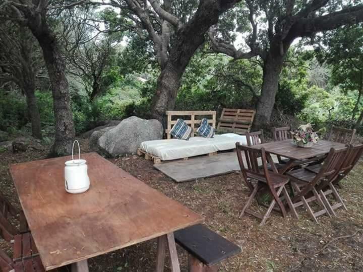 Eucaliptus Farm Retreat Pensionat Santa Teresa Gallura Exteriör bild